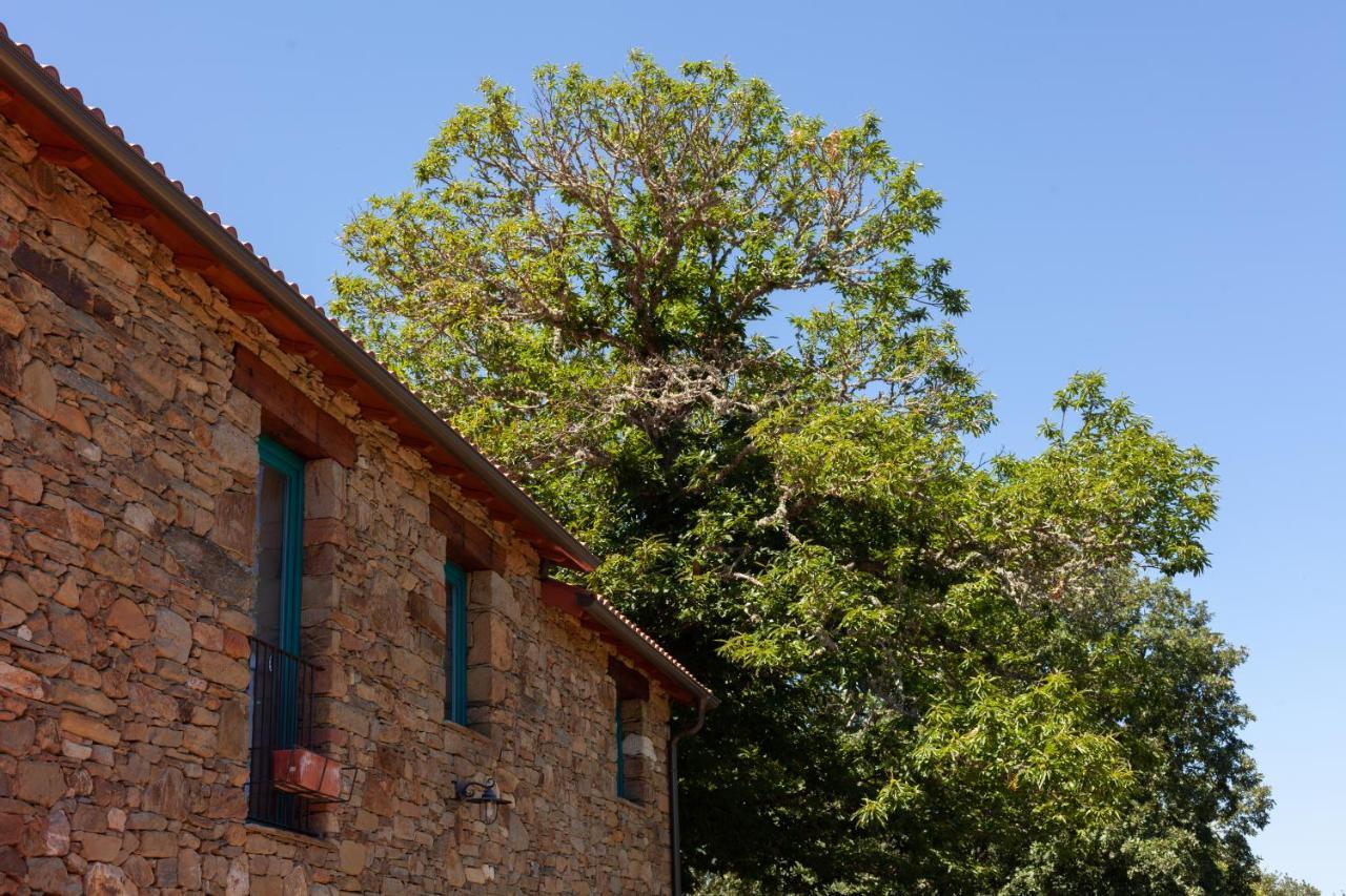 Affittacamere Casa Terra Alma Laza Esterno foto